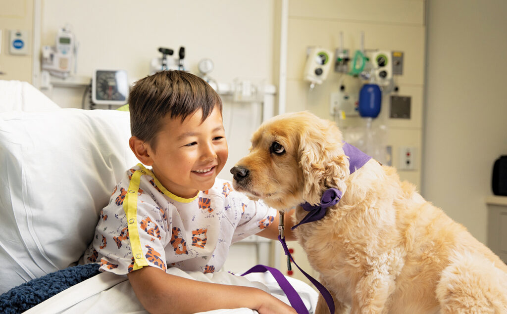 Boy sitting in a hospital bed with a golden retriever therapy dog