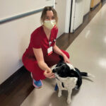 Nurse is hospital corridor with therapy dog